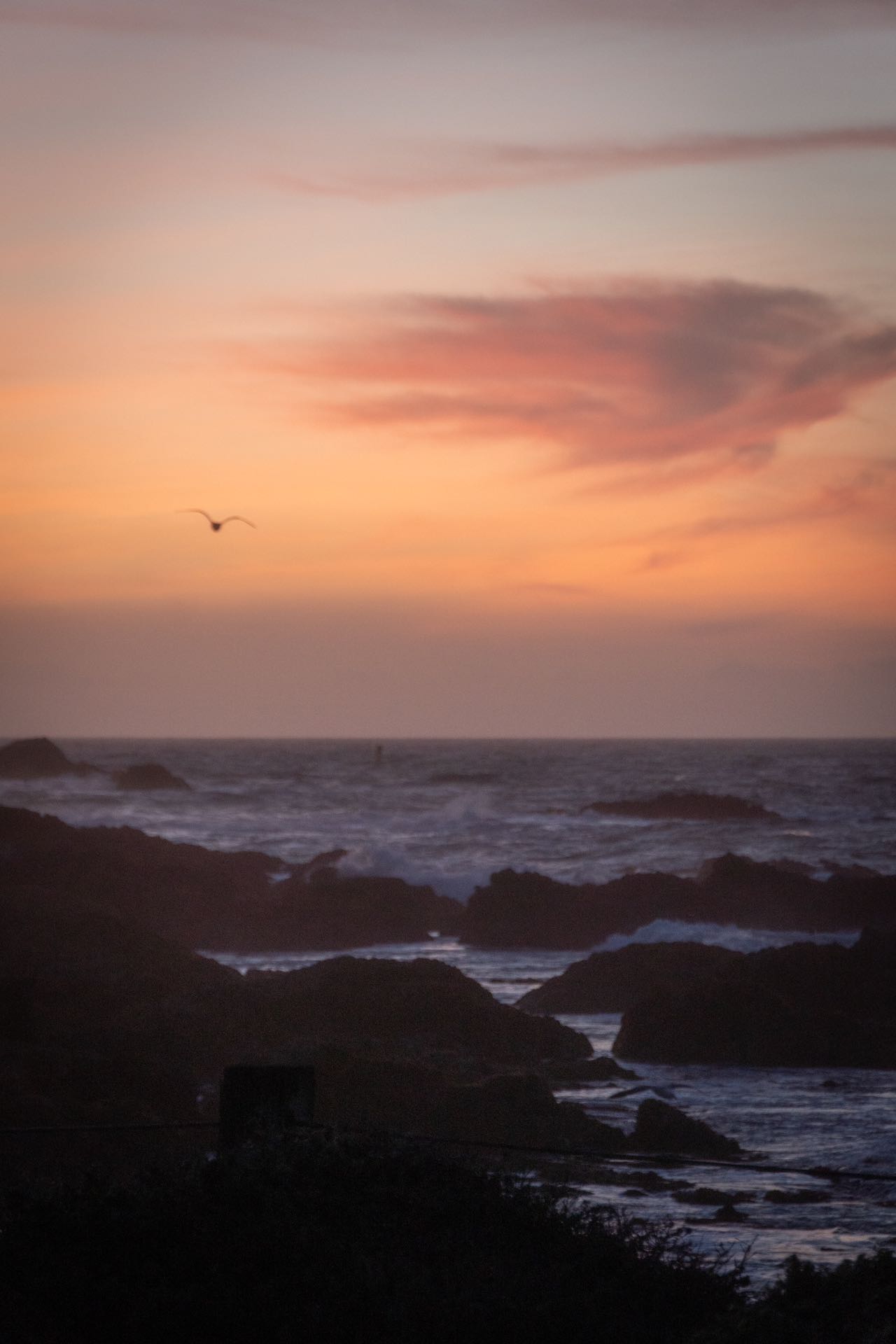 Beach in Monterey